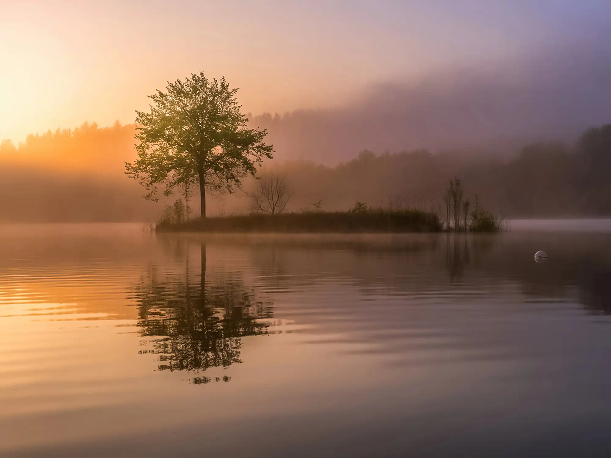 depositphotos 834129286 xl